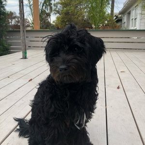 Meet your Posher, Kara